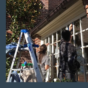 Hammer Window Washing